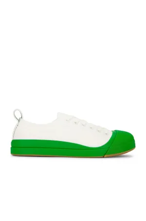 Bottega Veneta Vulcan Low Top Sneaker in Optic White & Parakeet