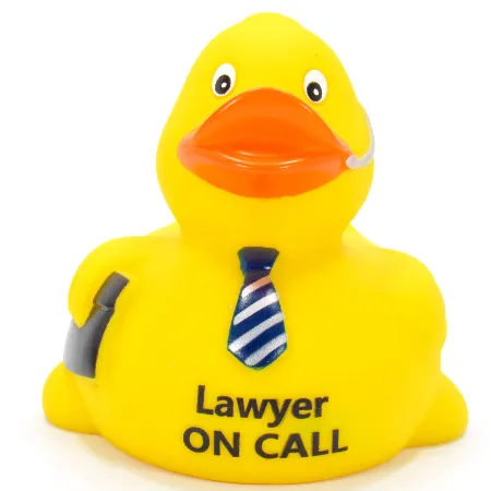 DITW- Lawyer ON CALL