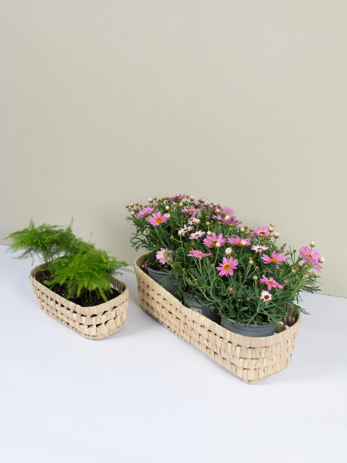 Long Open Weave Storage Trays